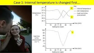 Homeostasis Temperature regulation: Internal Temperature VS External Temperature