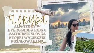 Dlaczego pożałowałam tej wycieczki? Everglades i rejs o zachodzie słońca / USA trip odcinek 8