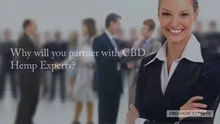 CBD Hemp Experts Company Profile