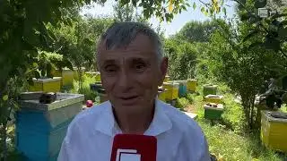Një jetë me bletët, fermeri nga Zharrëza e Patosit i suksesshëm në bletari | RTSH