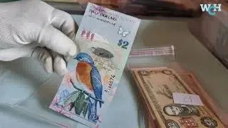 My 5 Favorite Banknotes - Genuine & UNC World Banknote Collection Bermuda Currency(Bermudian Dollar)