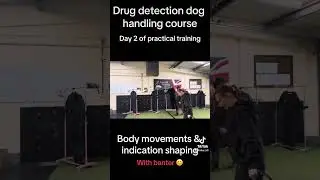 Dog training (drug detection)