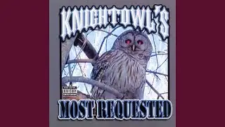Here Comes The Knightowl