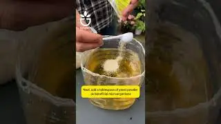 Make root stimulant at home #plant #gardentips #plants #viral #planttips #garden #plantcare #cutting