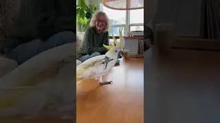 Dance Legend