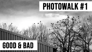 PHOTOWALK Eine Stunde Fotografieren - Motive für Schwarz-Weiss Fotografie sind überall zu finden.