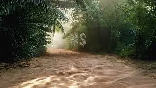 Ambient Quicksand Sounds - Jungle Quicksand Pit (8 Hours)