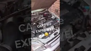 Funny reality of a car enthusiast short video #shorts