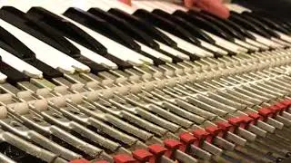 Mellow Laydown on the Pianet T