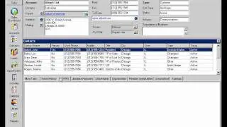 Account View with Sales Logix