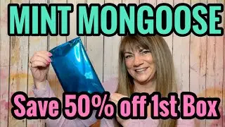*NEW* MINT MONGOOSE Jewelry Subscription Box I LOVE IT!! Come See