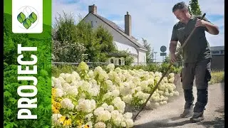 De gouden driehoek met Stadlander | PROJECT UITGELICHT
