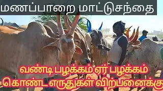 💥🔥🙋வண்டிபழக்கம் ஏர்பழக்கம் கொண்ட எருது வாங்க #மணப்பாறைமாட்டுச்சந்தை #cow #bull #செவ்வாய்சந்தை#தமிழ்