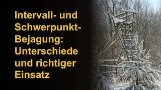 Intervall- und Schwerpunkt- Bejagung: Unterschiede und richtiger Einsatz