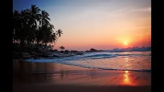 Master Lex - Hot Nights on a Beach