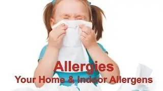 Allergies - Your Home & Indoor Allergens