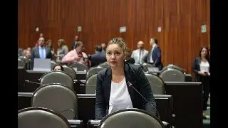 Dip Sylvia Violeta Garfias Cedillo intervenci&oacute;n en curul 18 09 2018