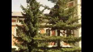 Pałac Herbsta w Łodzi - Ogrody - Kwiecień 2011 - cz 1