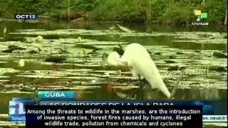 Cuba struggles to preserve its ecosystem