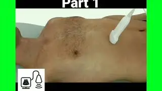 How To Scan The Liver With Ultrasound.