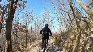 Razzipante in discesa con neve