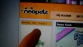 I Made A Neopets Account