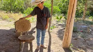 De un tronco hicimos esto..