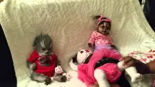 Changing alternative reborns