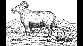 Bishop Williamson on the Antichrist and the Two Beasts