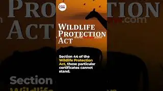Kerala HC Strikes Down Mohanlal&rsquo;s Ivory Ownership Certificates