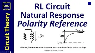 RL Circuit Natural Response Polarity Reference
