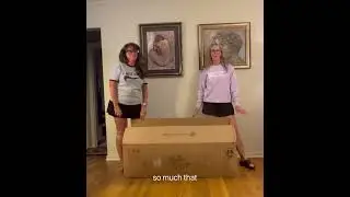 Temu chair reveal