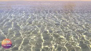 Crystal clear sea waters - Relaxing sounds of sea waves & cicadas - Nature sounds