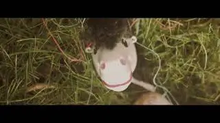3p Slot Machine - Horses and Feet (Official Music Video)
