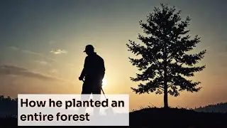 The Forest Man of India: How One Man Planted a 1,300-Acre Forest
