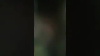 Hutchinson Minnesota cop harassment 