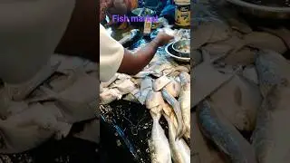 fish market #shortvideo #shorts #ayan