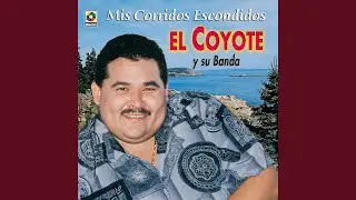 Qu&eacute; Debo Hacer