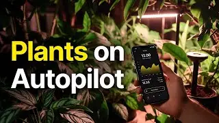 Smart Home Tech for Plants | Effortless Indoor Jungle Care