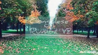 Congolese rumba instrumental vol 2