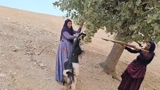 The goat meets Khadija and Khadija helps the goat reach the leaves of the tree.