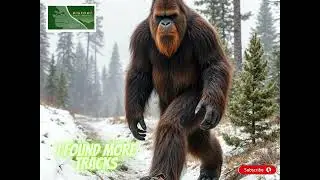 These Bigfoot Witnesses Saw Something Unbelievable | Creek Devil