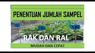 TEKNIK PENENTUAN JUMLAH SAMPEL PADA RAK DAN RAL