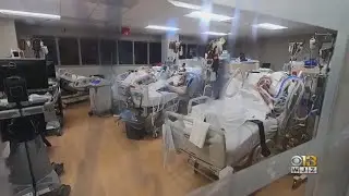 University Of Maryland School Of Nursing Allowing Students To Graduate Earlier In Effort To Battle C