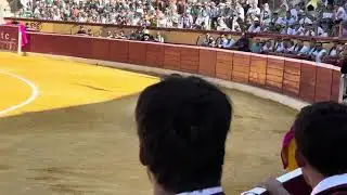 El Cordob&eacute;s sufre una cogida en Huesca