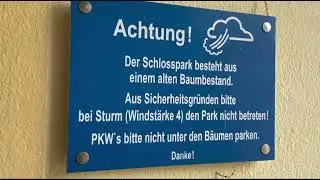 Eindr&uuml;cke zum Projekt: Starke B&auml;ume f&uuml;r den Schlosspark Gadow
