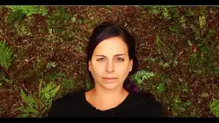 Flying H&oacute;rses - Comfort