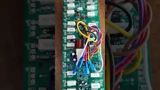 CA 18 bod CA 18 amplifier ka bod proactive amp volg#status #youtubeshorts