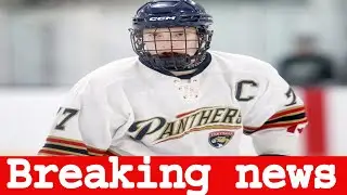 The Titans secured their victory over the Panthers in overtime, ending their pursuit for the OHL Cup