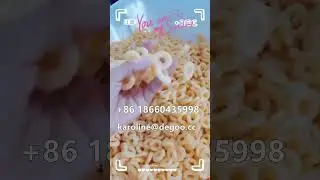 puffed ring corn cracker snacks food extruder machine puff bite inflating food equipment by DG